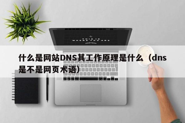 什么是网站DNS其工作原理是什么（dns是不是网页术语）