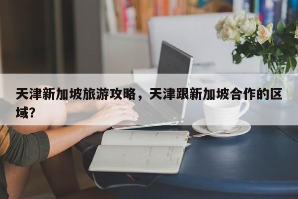 天津新加坡旅游攻略，天津跟新加坡合作的区域？