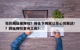 你的网站被降权？排名下降就让你心惊胆战！？网站降权查询工具？