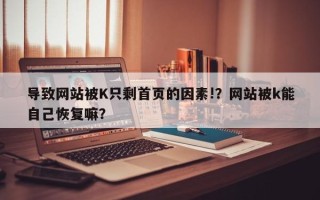 导致网站被K只剩首页的因素!？网站被k能自己恢复嘛？