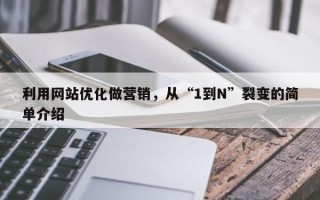 利用网站优化做营销，从“1到N”裂变的简单介绍