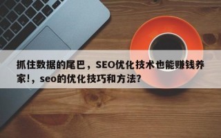 抓住数据的尾巴，SEO优化技术也能赚钱养家!，seo的优化技巧和方法？