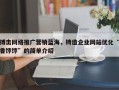 搏击网络推广营销蓝海，铸造企业网站优化“香饽饽”的简单介绍