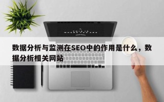 数据分析与监测在SEO中的作用是什么，数据分析相关网站