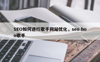 SEO如何进行歌手网站优化，seo hoo歌手