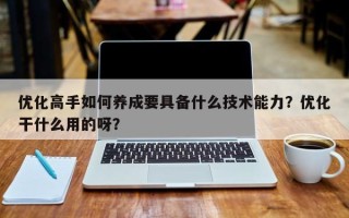 优化高手如何养成要具备什么技术能力？优化干什么用的呀？