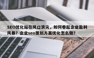 SEO优化站在风口浪尖，如何卷起企业盈利风暴？企业seo策划方案优化怎么做？