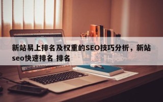 新站易上排名及权重的SEO技巧分析，新站seo快速排名 排名