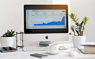 seo留痕转码软件：做家庭园艺网站内容自动发bu