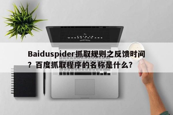 Baiduspider抓取规则之反馈时间？百度抓取程序的名称是什么？-第1张图片-巾文seo网站优化