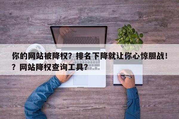 你的网站被降权？排名下降就让你心惊胆战！？网站降权查询工具？-第1张图片-巾文seo网站优化
