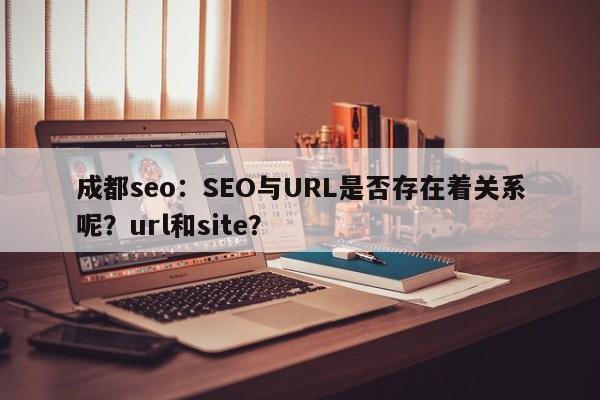 成都seo：SEO与URL是否存在着关系呢？url和site？-第1张图片-巾文seo网站优化
