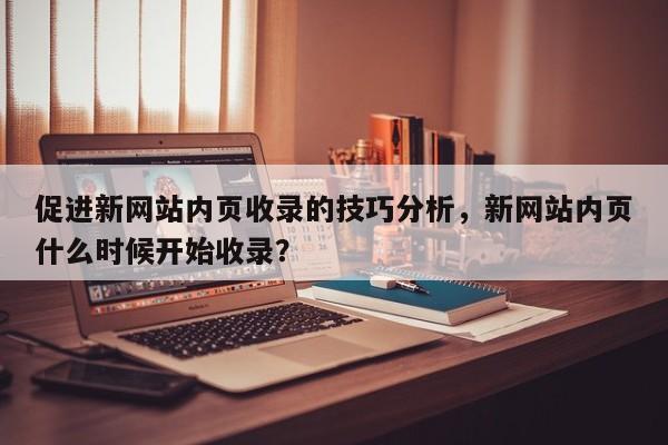 促进新网站内页收录的技巧分析，新网站内页什么时候开始收录？-第1张图片-巾文seo网站优化
