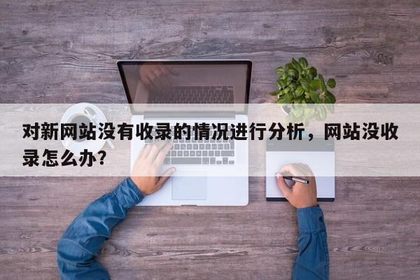 对新网站没有收录的情况进行分析，网站没收录怎么办？-第1张图片-巾文seo网站优化