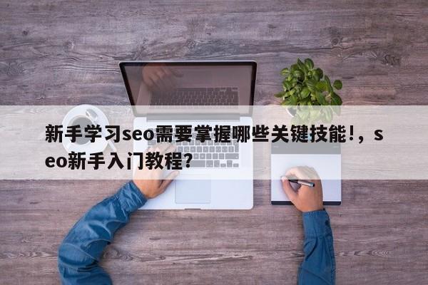 新手学习seo需要掌握哪些关键技能!，seo新手入门教程？-第1张图片-巾文seo网站优化