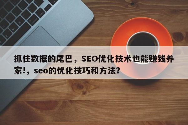 抓住数据的尾巴，SEO优化技术也能赚钱养家!，seo的优化技巧和方法？-第1张图片-巾文seo网站优化