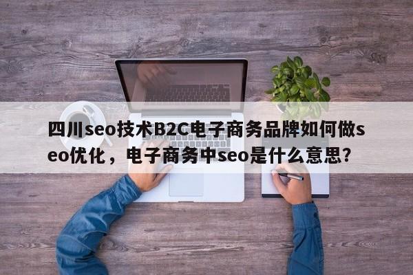 四川seo技术B2C电子商务品牌如何做seo优化，电子商务中seo是什么意思？-第1张图片-巾文seo网站优化