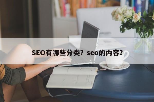 SEO有哪些分类？seo的内容？-第1张图片-巾文seo网站优化