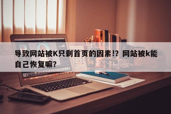 导致网站被K只剩首页的因素!?网站被k能自己恢复嘛?-第1张图片-巾文seo网站优化 导致网站被K只剩首页的因素!?网站被k能自己恢复嘛?-第1张图片-巾文seo网站优化