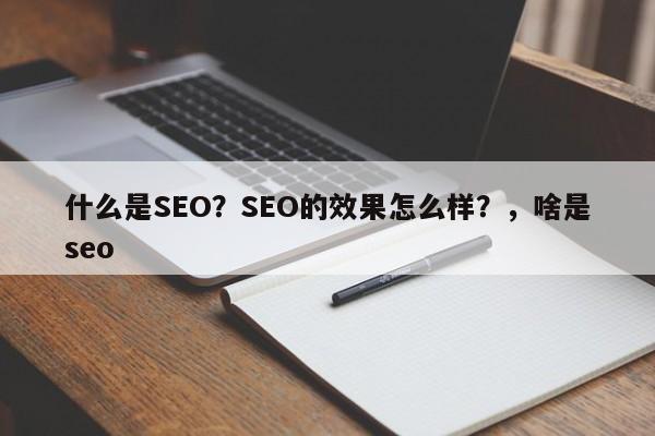 什么是SEO？SEO的效果怎么样？，啥是seo-第1张图片-巾文seo网站优化