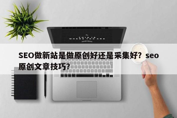 SEO做新站是做原创好还是采集好？seo原创文章技巧？-第1张图片-巾文seo网站优化